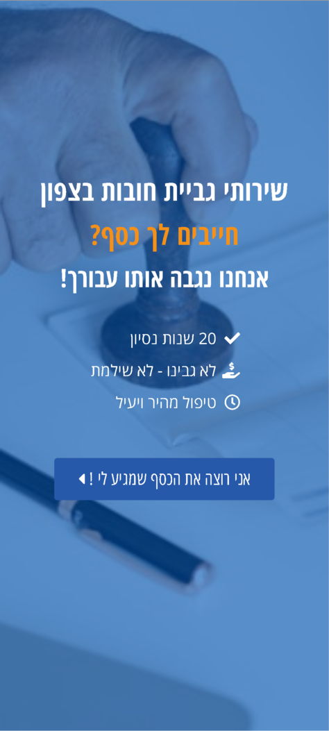 דף נחיתה לגביית חובות